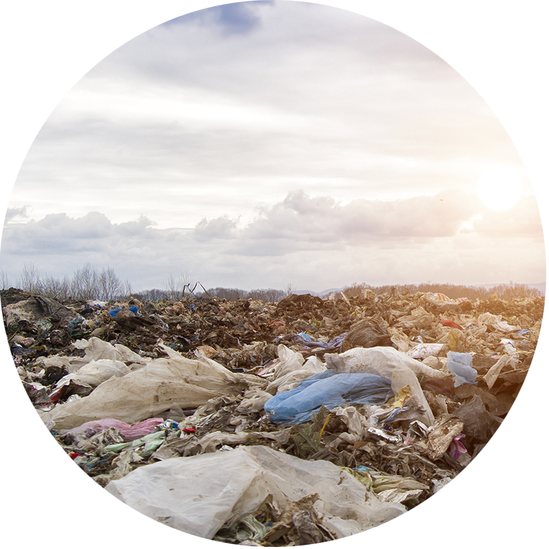 landfill